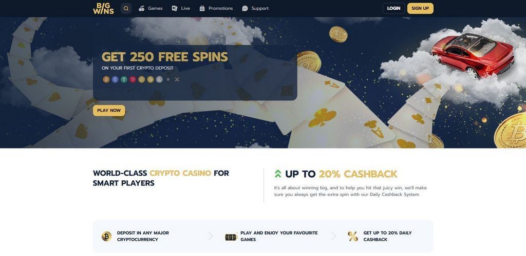Bigwins Casino Site Testimonial: Complete Testimonial in 2025
